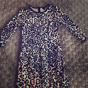 Black and White Animal Print Ann Taylor Dress